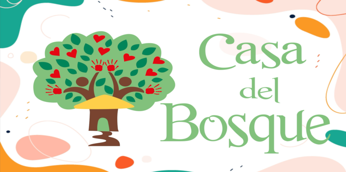 Diseño de introducción visual para el proyecto Casa del Bosque